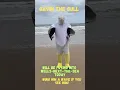 Download Lagu Gavin the Gull Flies to Wells-Next-The-Sea today. #wellsnextthesea