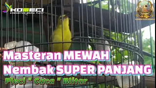 Download MASTERAN PLECI NEMBAK SUPER MEWAH || Pleci CACA BLITAR NEMBAK PANJANG MP3