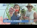 A Taste of FarmerJawn Positively Philly