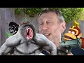 Lagu {YTP}~Michael Rosen's Zoo Trip [Remaster]
