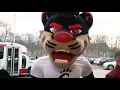 Surprise You re a Bearcat