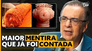 Carne de PORCO MAL PASSADA faz mal?