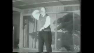 Taijiquan (Tai Chi Chuan) Wang Shu Chin