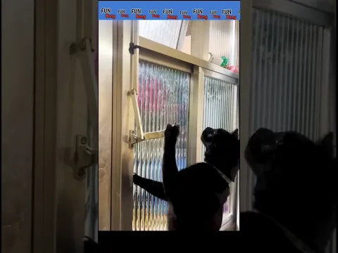 GF Ka Chakkar 🤪🤣 | FUN Bong