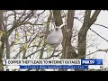 AT T Outages on Indy s southwest side caused by copper fiber cable theft