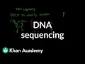 DNA sequencing Biomolecules MCAT Khan Academy