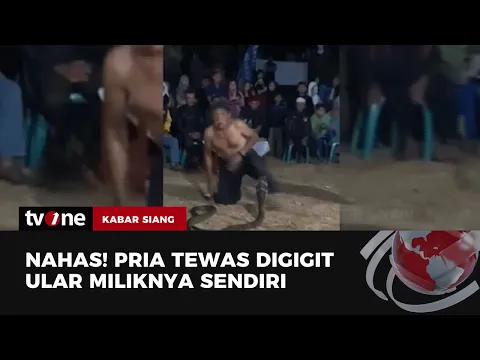 Pawang Ular di Sumedang Tewas Digigit King Cobra Peliharaannya