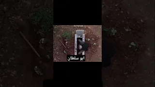 ودخلك على مين الدور الجاية فاضي يا الله جبل شيخ الجبل الهيبة 