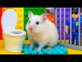 Download Lagu 🐹 Hamster Escape Pop It Maze - Hamster Prison Break