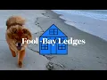 Fool - Bay Ledges | Karaoke Version