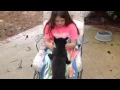 of adoptable pet named Darcy