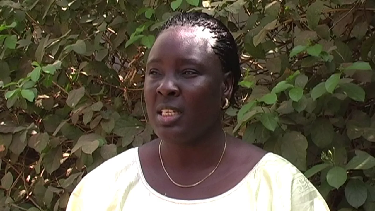 Voices of Midwives: The State of the World's Midwfiery 2014 - Francophone Africa (Extended version) 