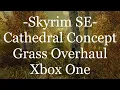 Skyrim SE - Cathedral Concept Grass