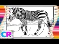 Zebra IPad Pro Coloring Animals - Savannah feat Philly K NCS Release