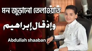 وإذ قال إبراهيم رب أرني كيف تحيي دندنها