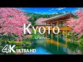 Download Lagu Spring Kyoto 4K, Japan – Stroll Through Sakura Blossoms, Petal-Filled Paths, and Blooming Gardens