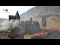 Download Lagu Traditional foods How to make Dry Grape  - Golden Raisins Making Processing.