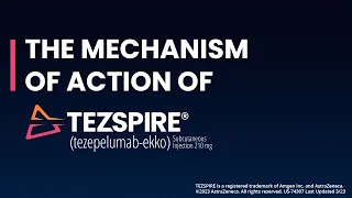 The Mechanism of Action of TEZSPIRE tezepelumab-ekko