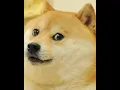 doge miner meets autoclicker