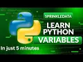 Python for Beginners - Learn Python basics in just 5 minutes DataSprinkle