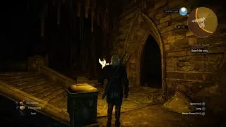 The Witcher 3 Wild Hunt - Tomb Raider reference