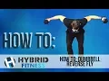 How to Dumbbell Reverse Fly