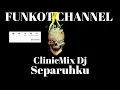 Download Lagu SEPARUHKU CLINICMIX DJ SINGLE FUNKOT