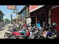 Download Lagu Datang Prenjak Putih Klawu Sogon King Konin Trucuk Anis SRDC Jongkangan Cendet Kombo Jalak Mandarin