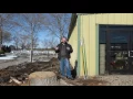 How far should a tree be planted from buildings and structures