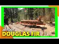 HUGE Doug Fir is a Must-See WoodMizer LT40 Sawmill