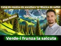 Download Lagu ALEX RADU - VERDE- I FRUNZA LA SALCUTA (COVER) || MUZICA DE PETRECERE 2025