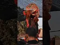 Download Lagu Solah Barongan Bajang1289 Rogo Samboyo Putro. #bajang1289#rsp