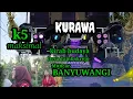 Lagu kirab budaya Desa Tambakrejo Muncar Banyuwangi bersama Kurawa dan k5 maksimal
