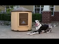 CRB Palace Insulated Doghouse Product Features - by ASL Solutions