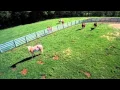 1128 Middleline Rd Milton NY MLS 201420800