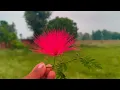 Jaan-E-Zigar Jaaneman" Lyrical Video | Aashiqui | Rahul Roy, Anu Agarwal