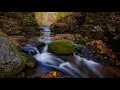 Leonid Kogan - Kreisler - Rondino on a theme by Beethoven