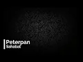 Download Lagu PETERPAN - Sahabat (lirik)