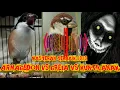 Download Lagu MASTERAN ARMAGEDON VS KUNTILANAK VS GREJA NYERET TEMBUSS FULL POWER TERBARU 2020 !!