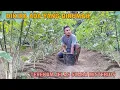 Download Lagu DIKIRA ADA YANG DIRUMAH! TEREKAM JELAS SUARA MISTERIUS YANG BUKA PINTU