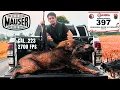 Download Lagu JACHT OP WILD ZWIJN // .223 CAL LAAT 67 KILOGRAM ZWIJN LOS!