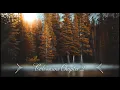 Chapter 2 of the Book of Colossians - New King James Version NKJV