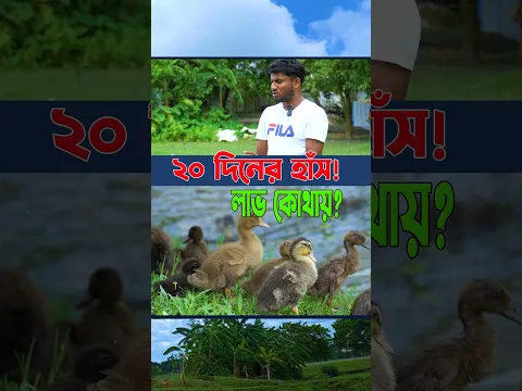 ২০ দিনের হাঁস পালনে লাভ কোথায়? 🦆💰 জেনে নিন আসল হিসাব! 😱 #shortsvideo