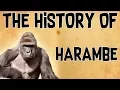 The History Of Harambe