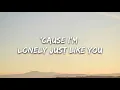 Lauv - Lonely Eyes (Lyrics)