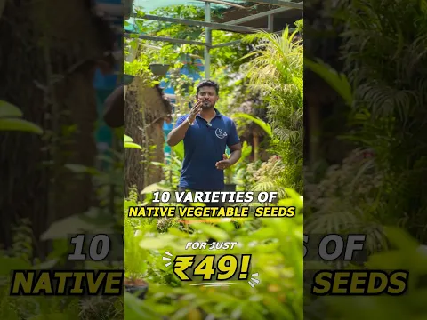 🔥 ₹49-க்கு 10 வகையான நாட்டு காய்கறி & கீரை விதைகளா?! 😳 #seed #gardening #countryseed #gardentips
