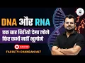 dna and rna structure and function DNA and RNA in details DNA and RNA in details AIIMS CRE