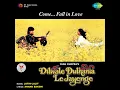Mehndi Laga Ke Rakhna - Lata Mangeshkar & Udit Narayan