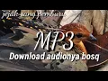 Download Lagu suara pikat burung puyuh rimba || puyuh tarun
