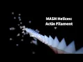 Mash actin - double helix